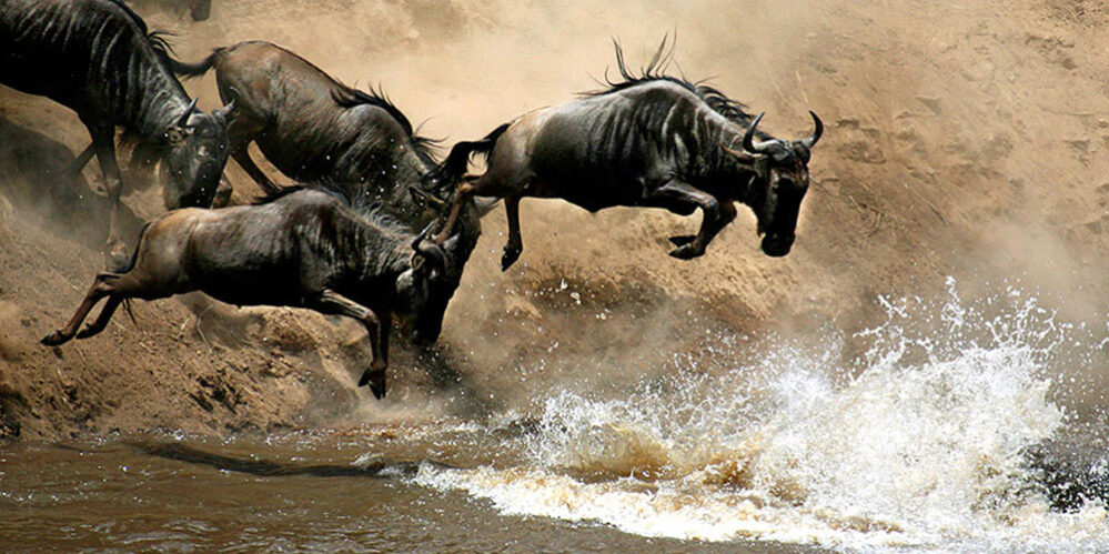 8-Days-Kenya-&-Tanzania